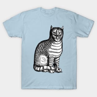 Sixteenth Century Tabby Cat or Brindle Cat T-Shirt